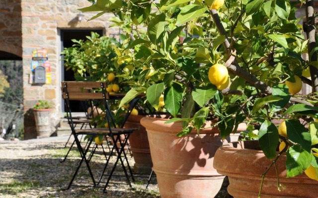 Agriturismo La Gioconda