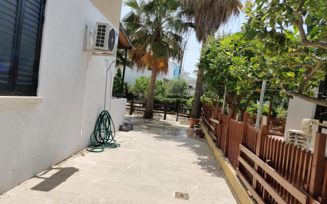 Palm garden paradise