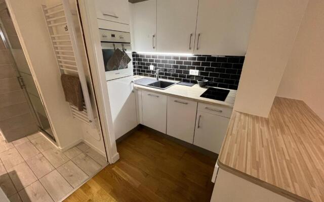 Appartement Biarritz, 2 pièces, 4 personnes - FR-1-239-782