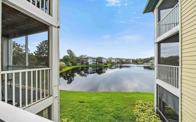 The Urban Oasis Serene Views!