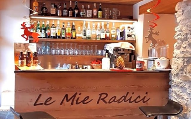 Le Mie Radici