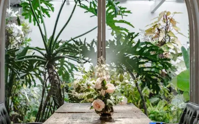 THEPLANTS Aesthetics Homestay.