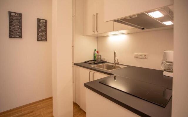Cozy 1-bedroom apartment in Innsbruck Center
