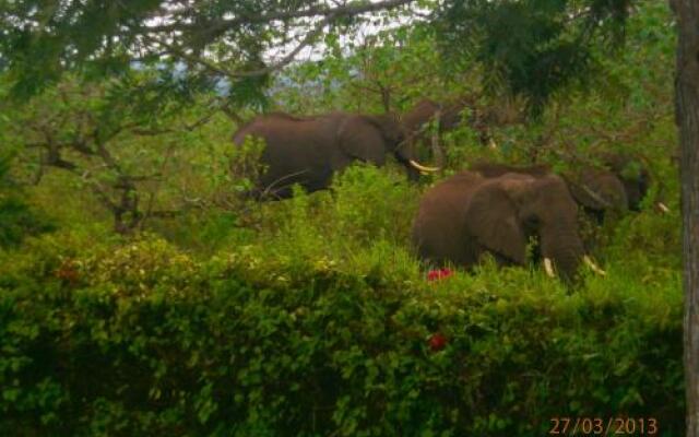 Meru Mbega Lodge