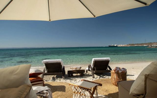 Orchid House Baja & Beach Club