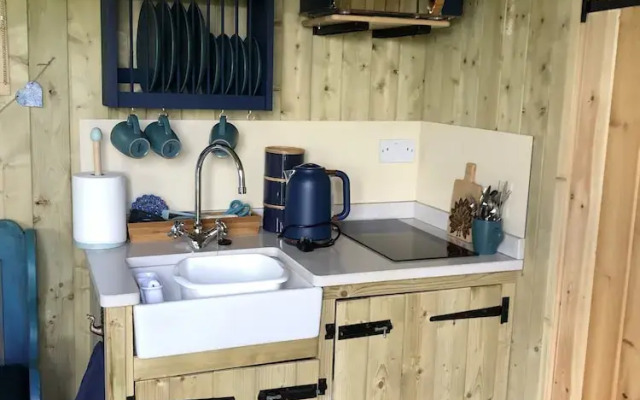 The Peacock Shepherds Hut at Hafoty Boeth