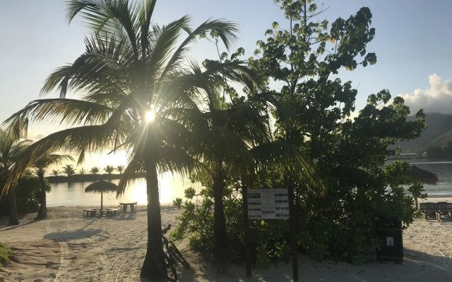 Eden Island Gem