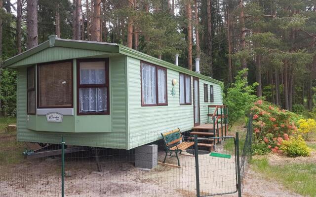 Beautiful holiday home near the pine forest