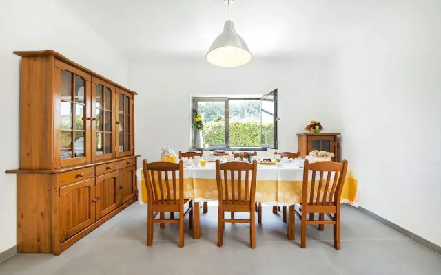 Beachouse - Surf, Bed & Breakfast