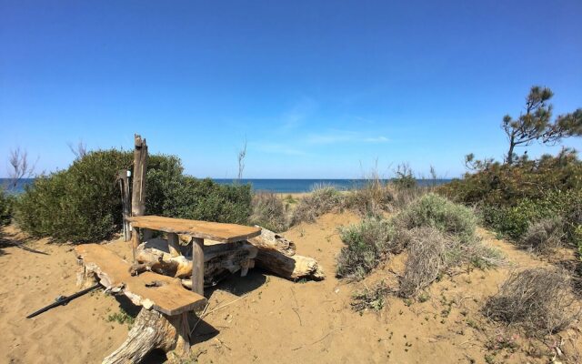 Villa in Sassetta With Private Botanical Garden