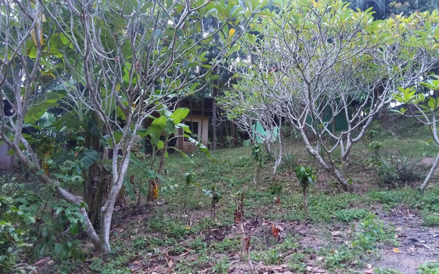 Wilai Villa
