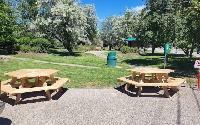 The Orchard Hostel Private Bunks