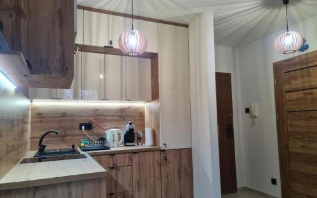 Apartment Apartament Króla Sielaw