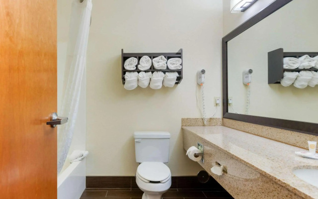 Comfort Suites Stevensville - St. Joseph