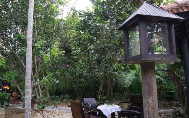 Thuy Bieu Homestay