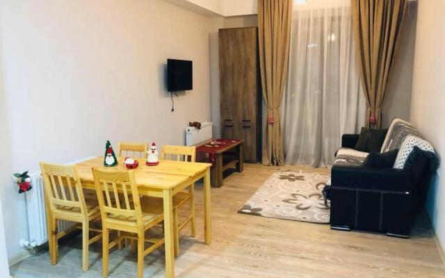 Bakuriani Plaza 503 B