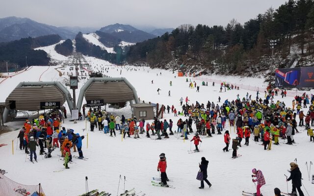 Bears Town Resort