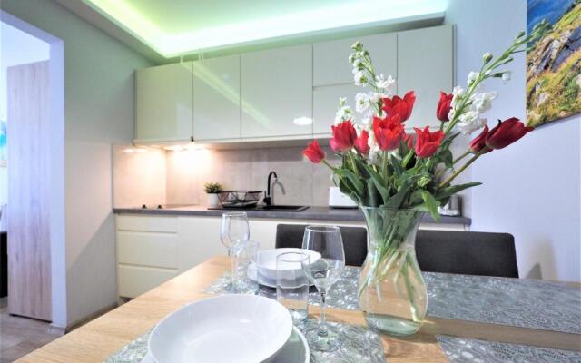 VIP Apartamenty Centrum