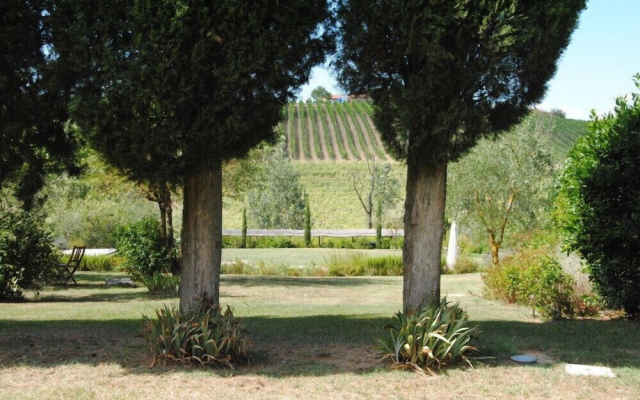 Verdidea - PIAN DELL'ASSO (up to 26 people)