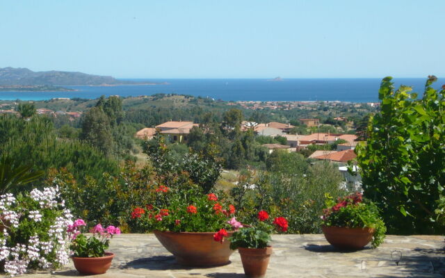 Li Muntigeddi