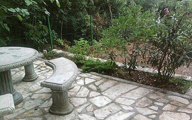 Ani - 10 M From the sea - SA2 Žuti