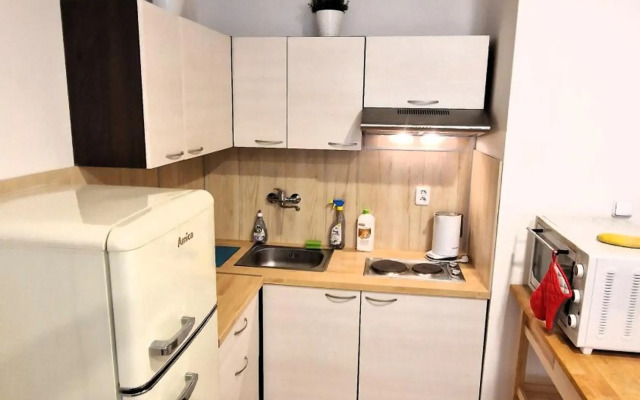 Apartment in the centre of the Prague