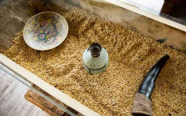 Sapa CatCat Hills Resort