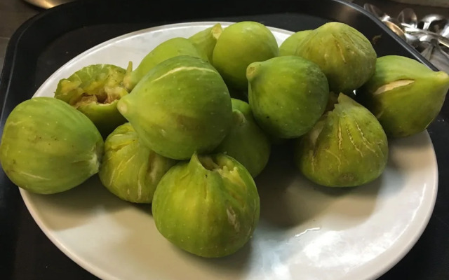 Setter House Agri Hotel