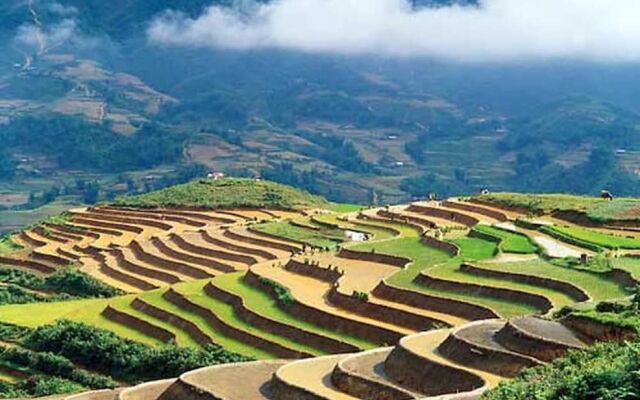 Sapa Homestay Trekking Tour For Backpackers