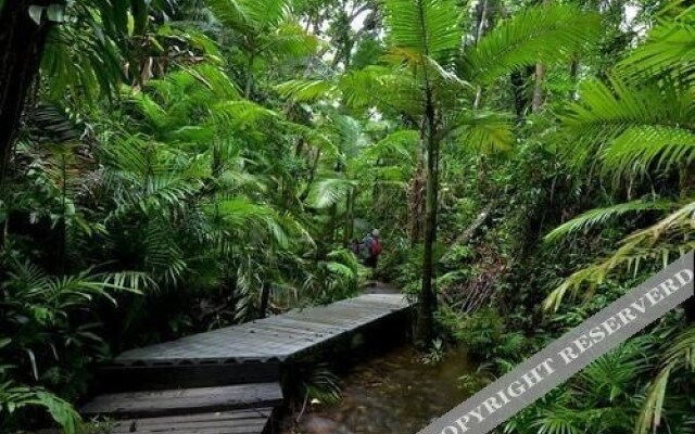 Lync Haven Rain Forest Retreat