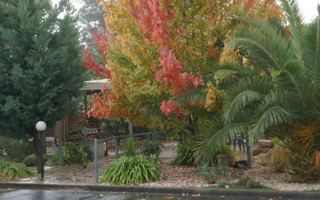 Golden Leaf Motor Inn