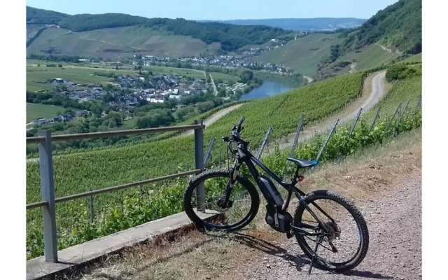 Holiday Apartment Moselle Beach 1