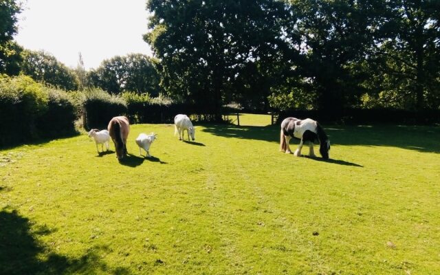 Acorns Barn