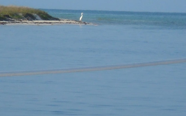 Key West Sailing Adventure With Sunset Charter Included