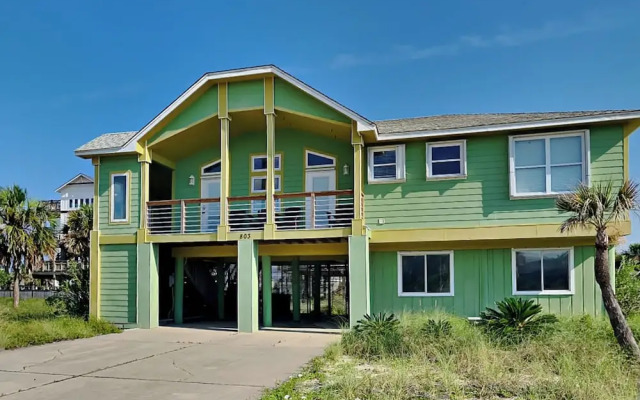 Lazy Urchin Seaclusion