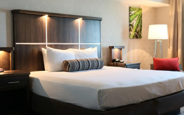 Avi Resort & Casino