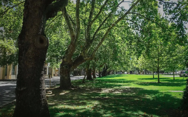 Homely Kings Park Apartment