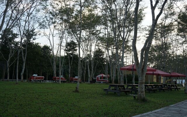 Singha Park Chiang Rai Camping