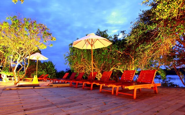 Cinnamon Wild Yala