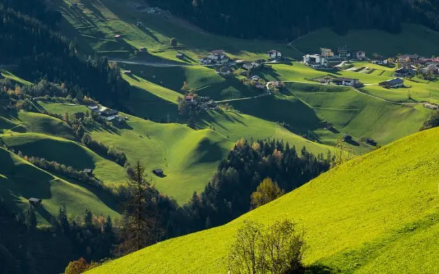 Bluebird Freeridebase Zillertal