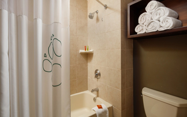Great Wolf Lodge Grapevine