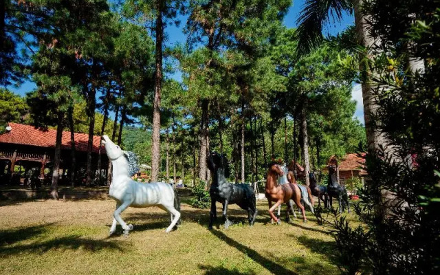 Bai Tu Long Mountain Resort