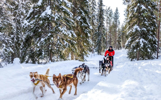 Lapland Hotels Luostotunturi