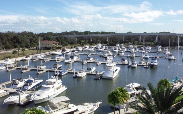 Yacht Harbor
