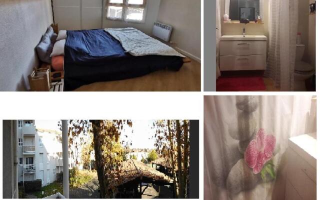 "CHEZ AURELIE" T2 COSY 54m2 1ch parking balcon PESSAC