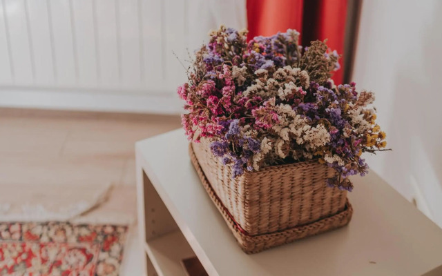 Salon Apartment in Dorcol Historical