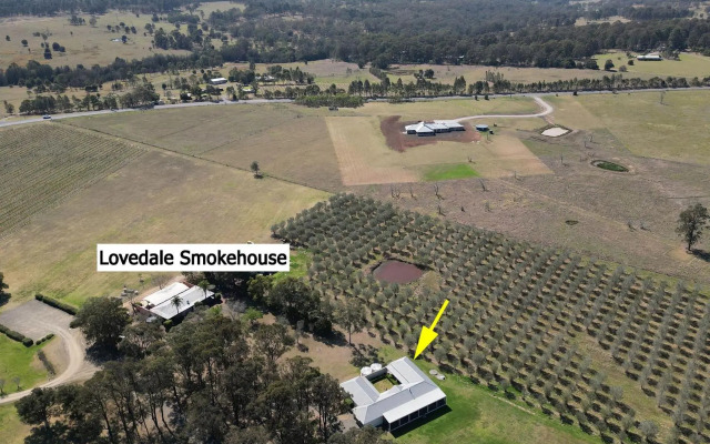 Olives and Vines at Majors Lane