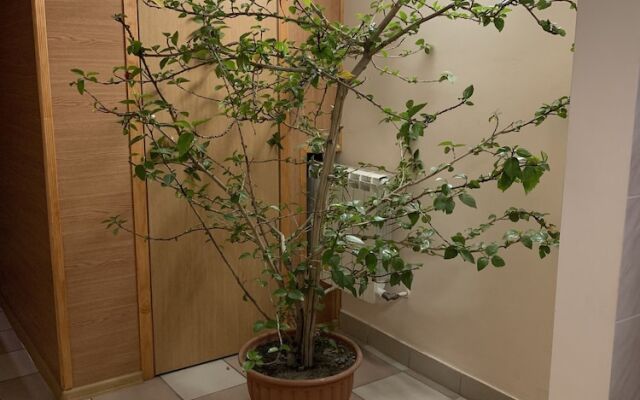 Гостиница на Житомирской