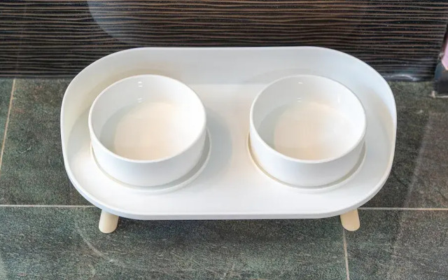 Hongcheon Casa Pellis Pet Private Pesion