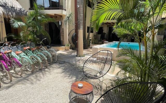 Macondo Raíz Holbox